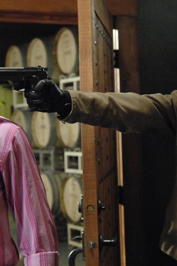 Psych – S02E11 – Per amore di Mira