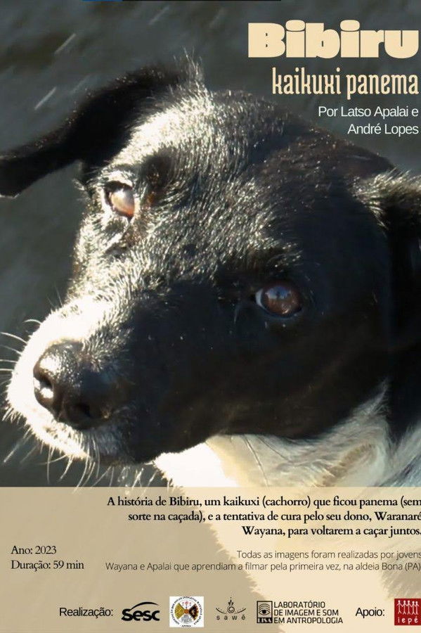 Bibiru: kaikuxi panema