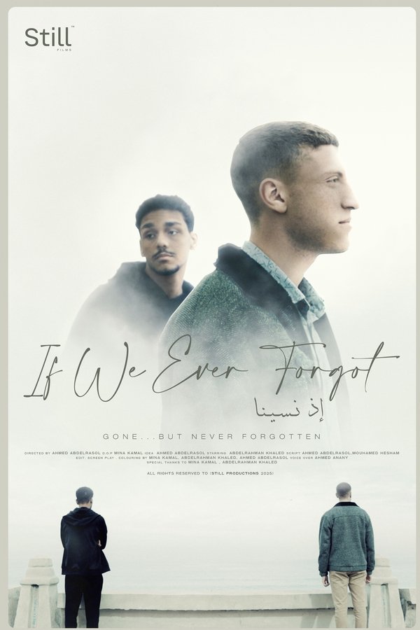 If We Ever Forgot Poster