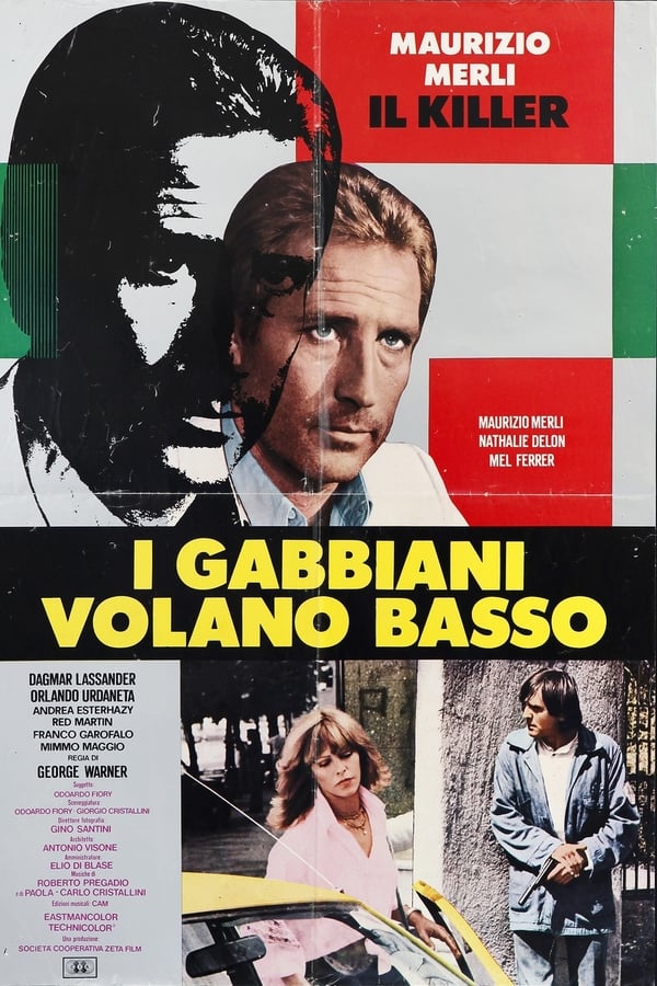 IT - I gabbiani volano basso  (1978)