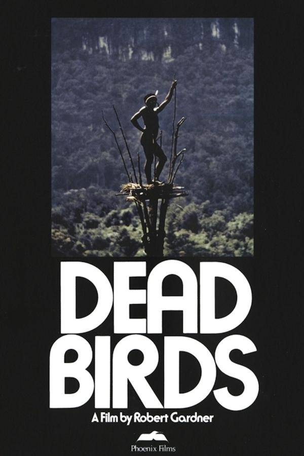 Dead Birds