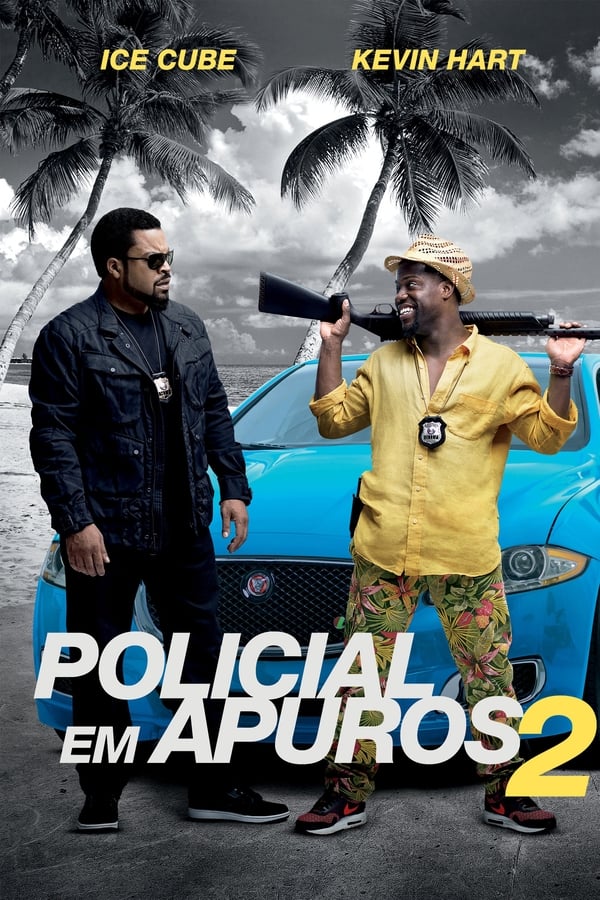Policial em Apuros 2 (2016)