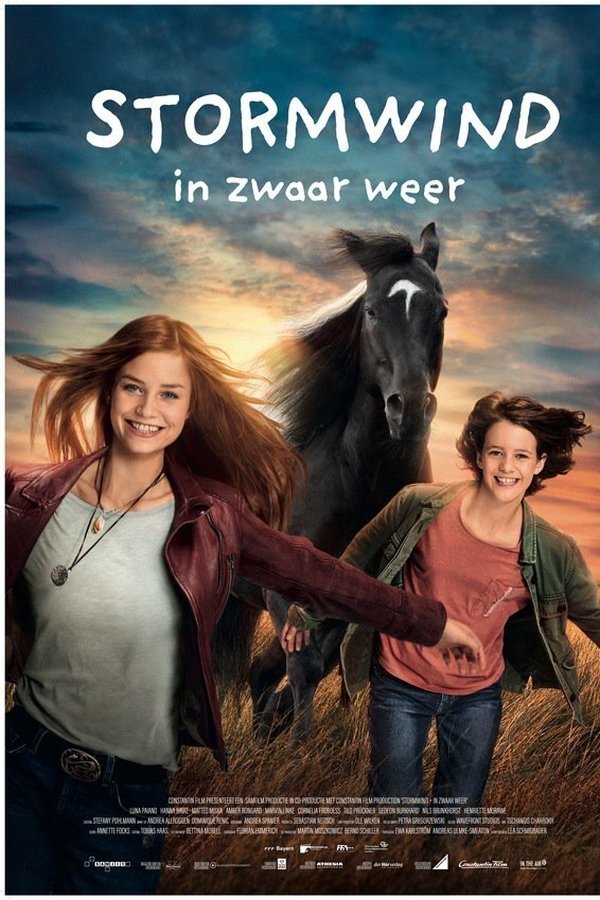 Een hevige zomerstorm drijft een rondreizend paardencircus naar Kaltenbach. Ari, die zich inmiddels goed op de manege heeft gevestigd, wordt op magische wijze aangetrokken door de fascinerende wereld van het kunstrijden en wil met hulp van circusjongen Carlo en Stormwind een oud showpaard helpen. Maar als de fanatieke showregisseur hun gewaagde plan ontdekt, loopt Stormwind gevaar.