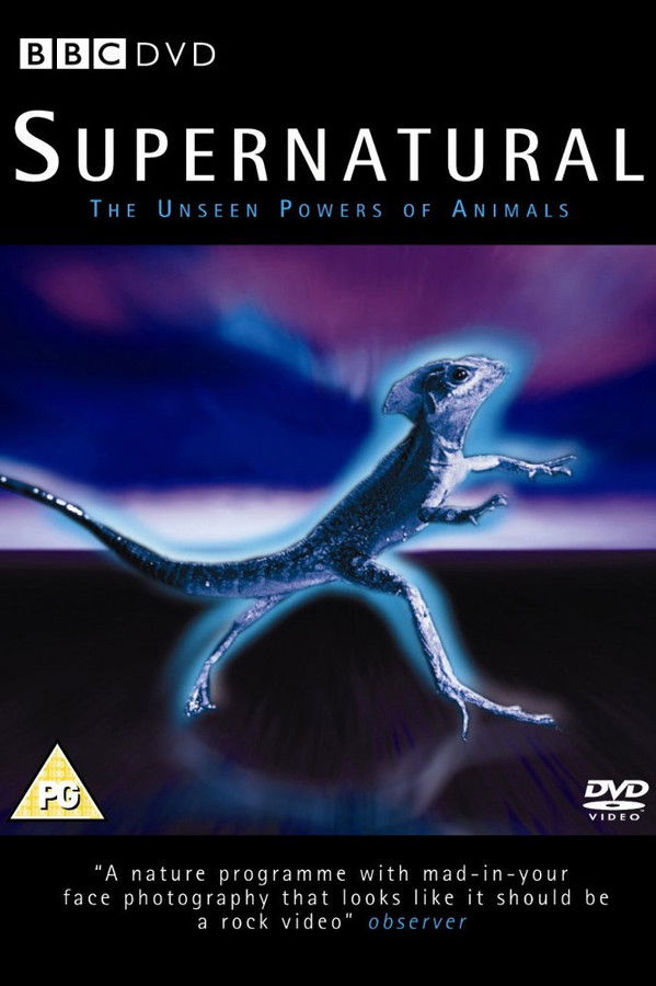 Supernatural: Unseen Power of Animals