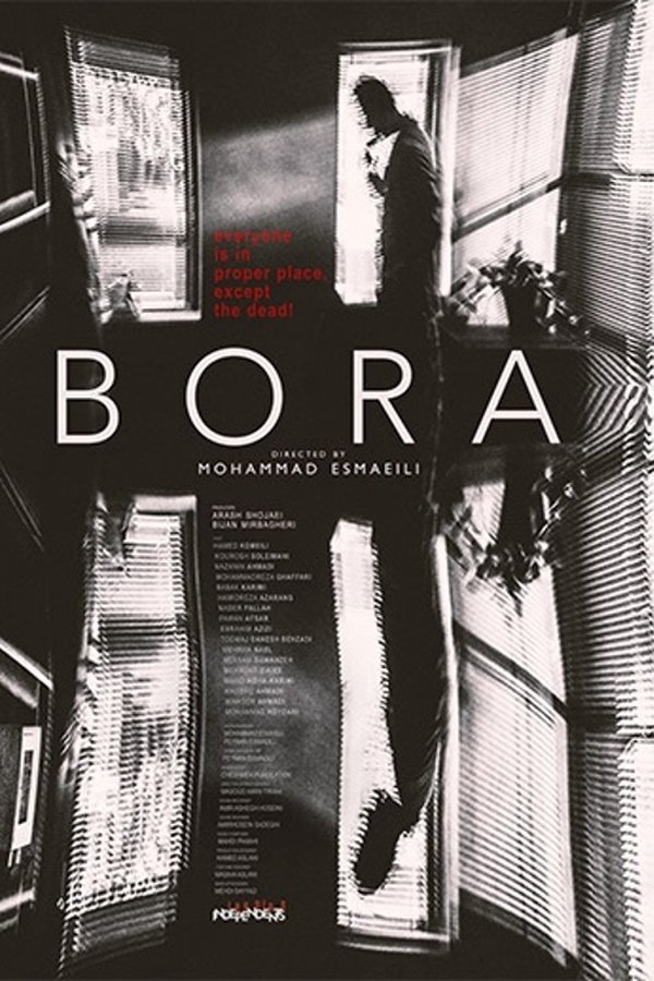 The Bora