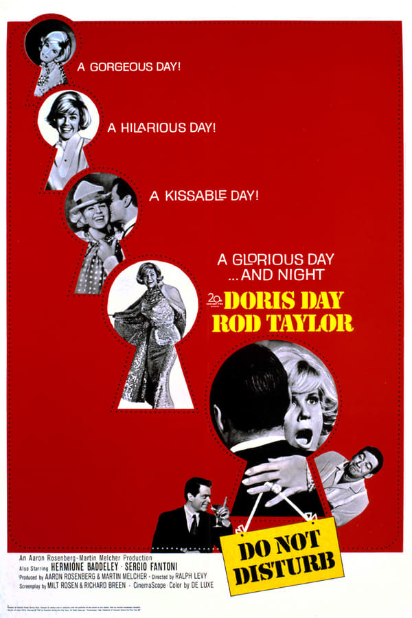 Do Not Disturb Poster