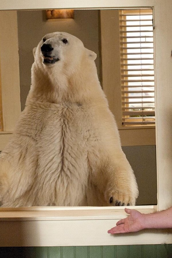 Psych – S05E15 – Delitto allo zoo