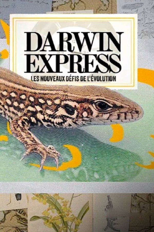 Darwin express - Les nouveaux défis de l'évolution poster