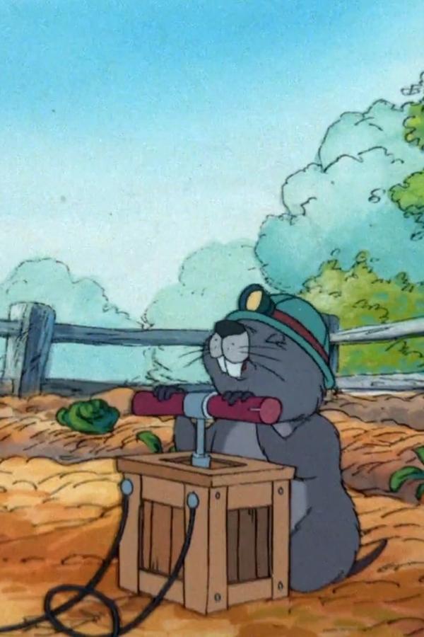 Le nuove avventure di Winnie the Pooh – S02E06 – Il giorno di Pimpi marmotta
