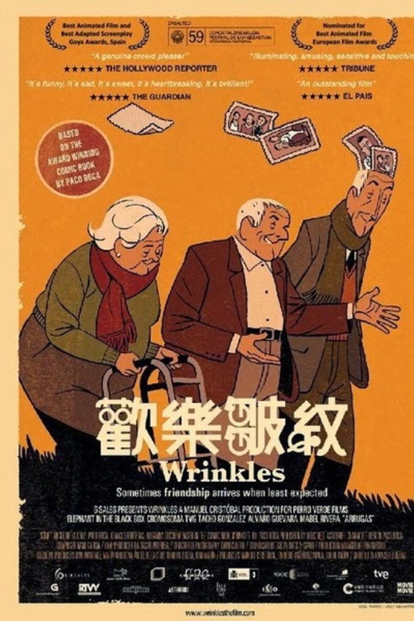 皱纹
