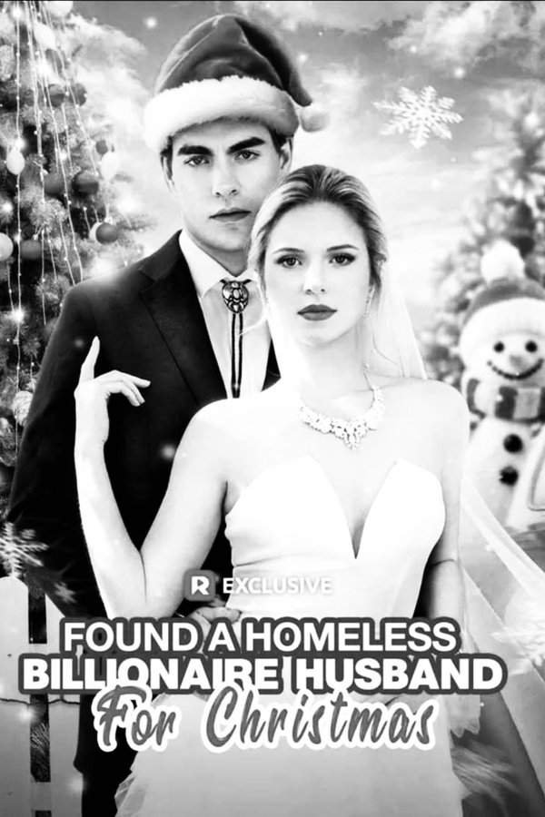 Found A Homeless Billionaire Husband for Christmas