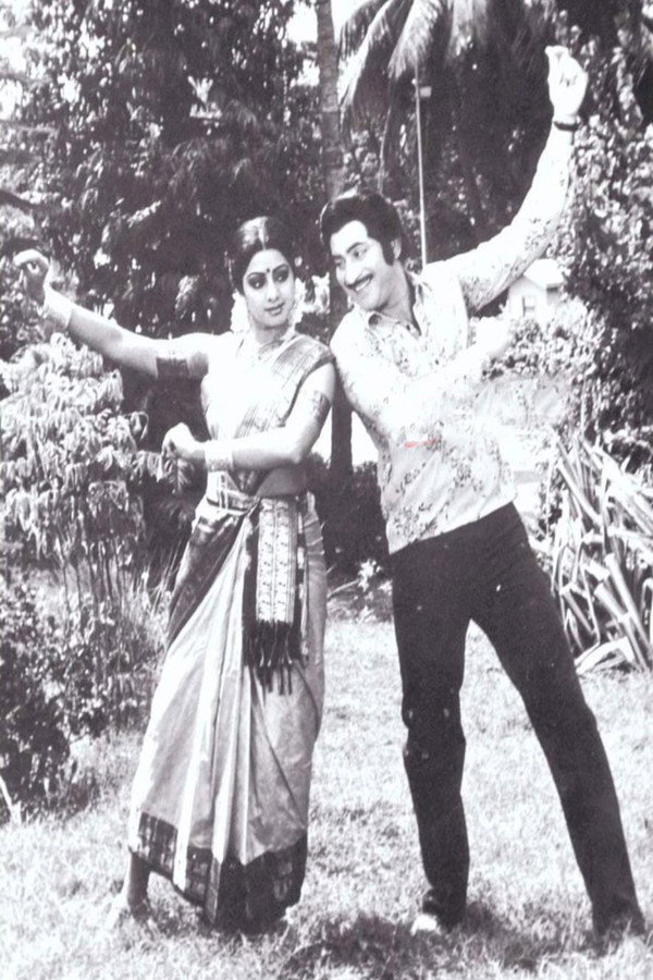 కలవారి సంసారం