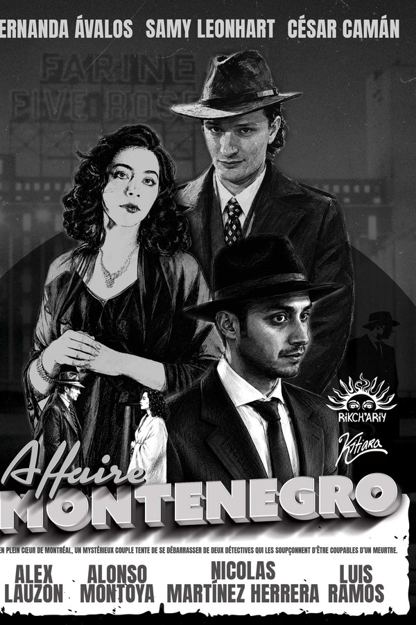 Affaire Montenegro