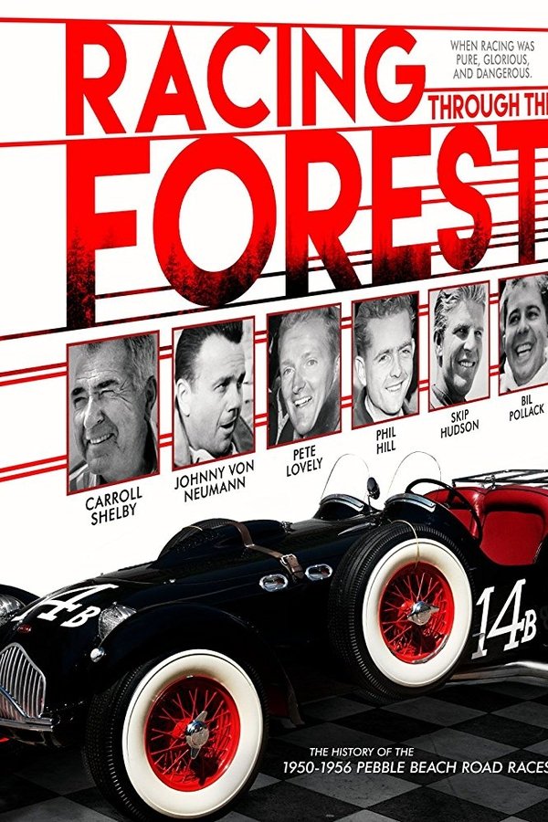 Racing Through the Forest