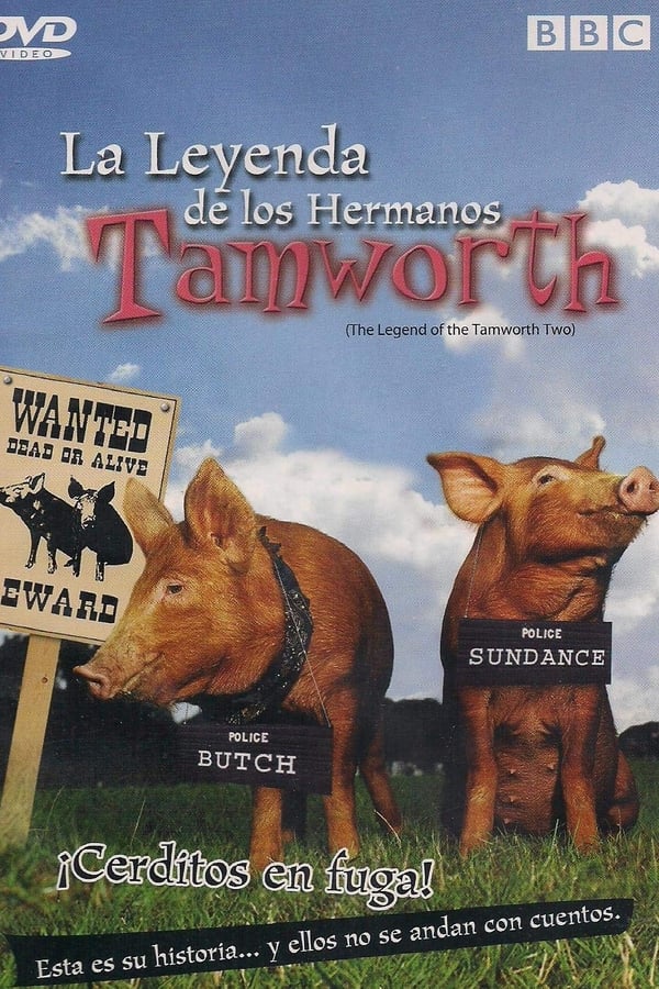 The Legend of the Tamworth Two