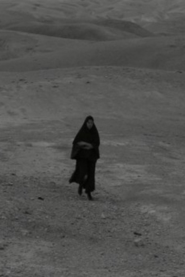 TR  - The Visitor - 2015