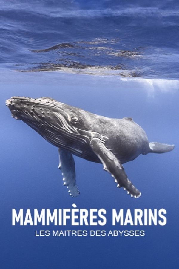 Mammifères marins, les maîtres des abysses poster