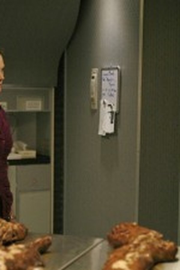 Bones – S04E10 – Il passeggero nel forno