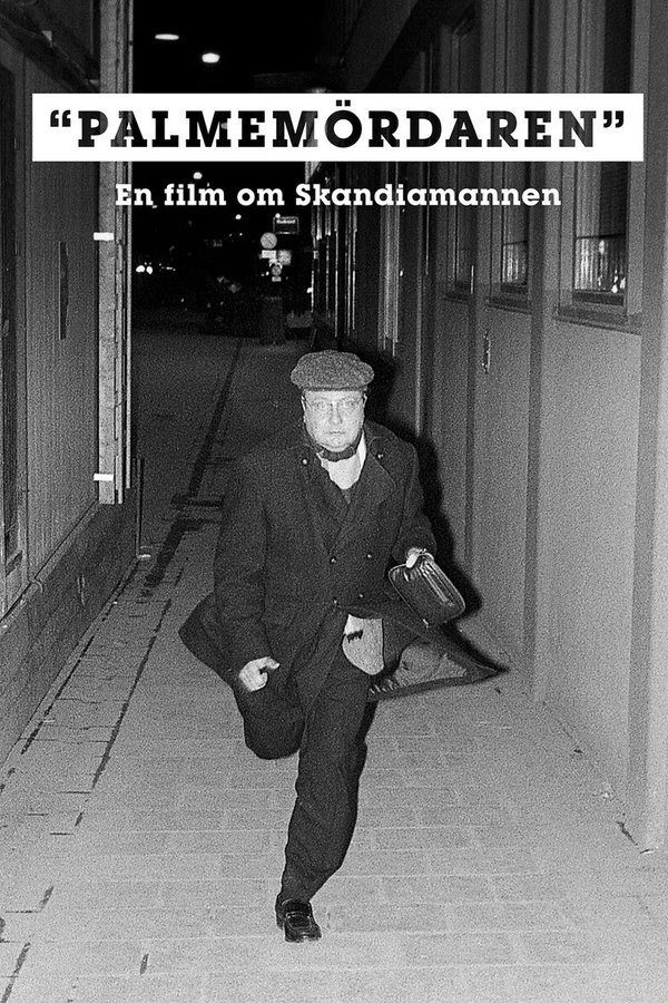 Palmemördaren