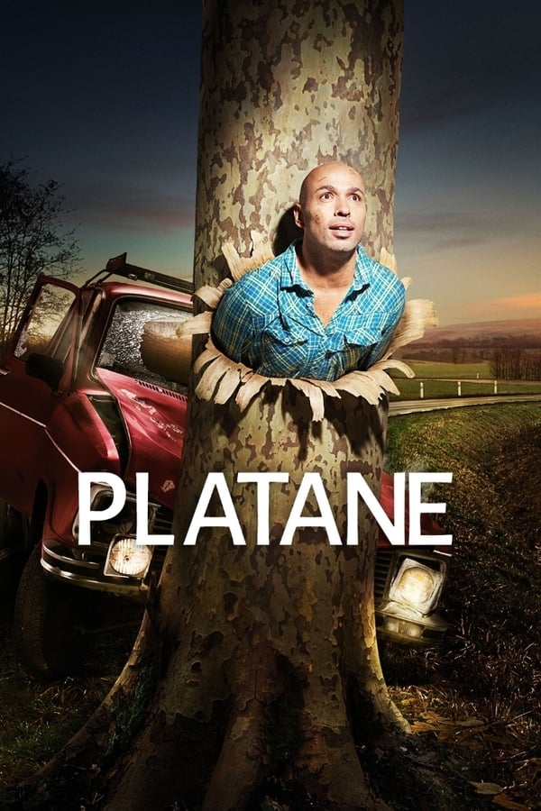 Platane