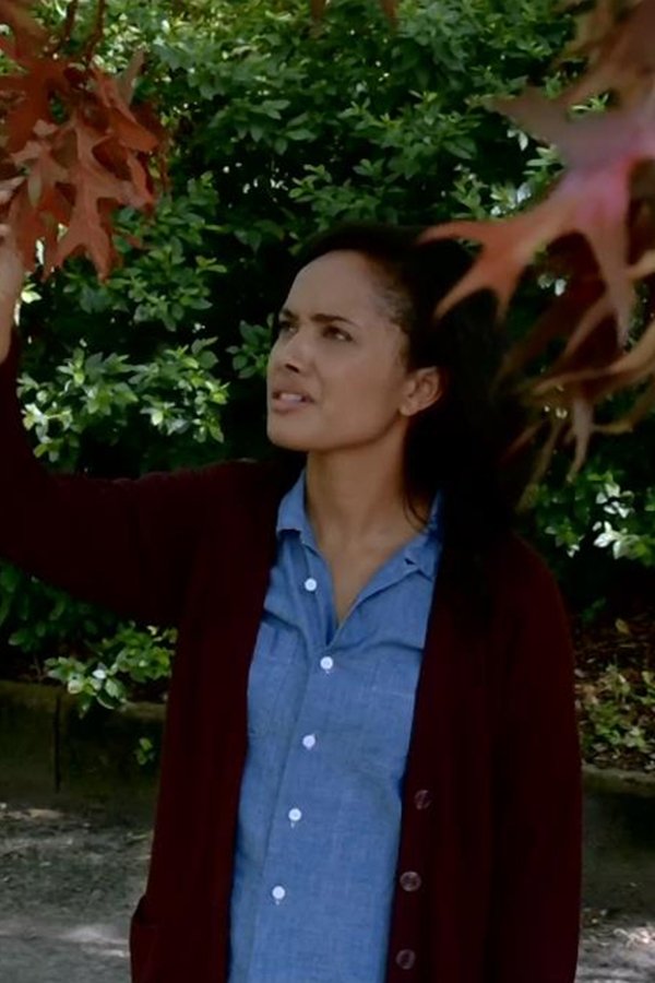 Under the Dome – S02E10 – La caduta