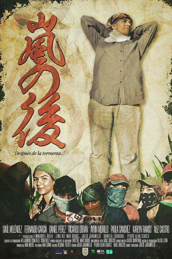 After the storm... poster