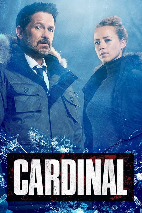 კარდინალი სეზონი 3 / Cardinal Season 3 ქართულად