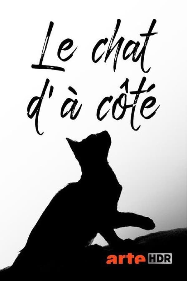 Le chat d’à côté