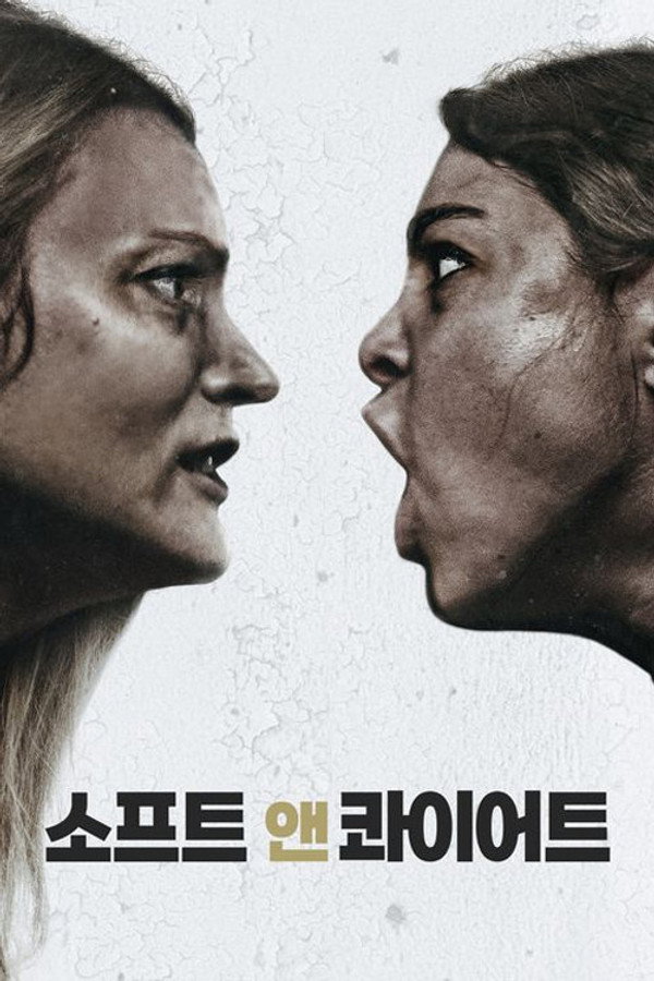 소프트 & 콰이어트