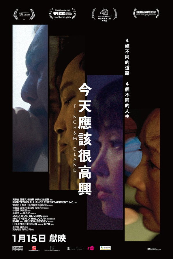 今天应该很高兴