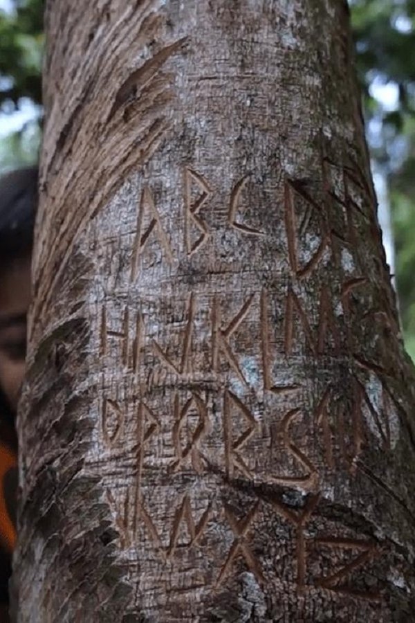 Forrest Now poster