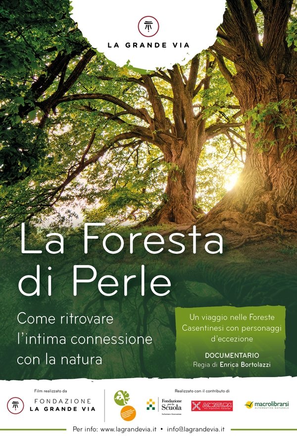 La foresta di perle poster