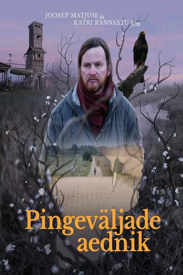 Pingeväljade aednik