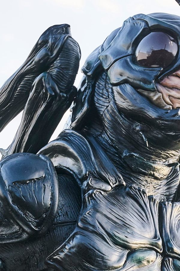 Kamen Rider Black Sun – S01E05 – Episodio 5
