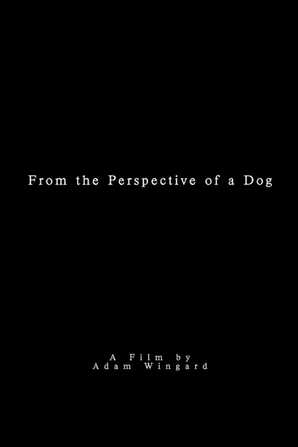 From the Perspective of a Dog