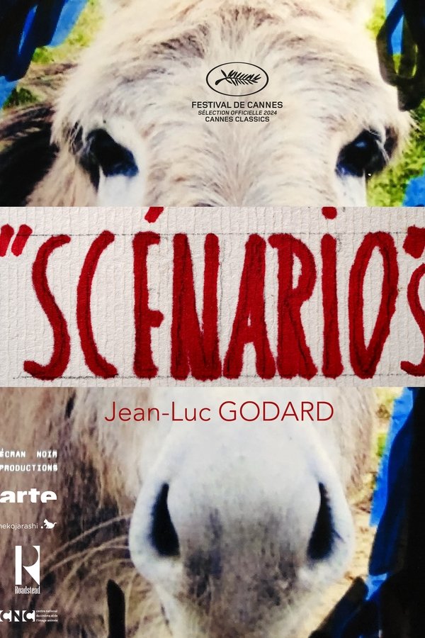 Presentation of the Trailer of a Film “Scénario”
