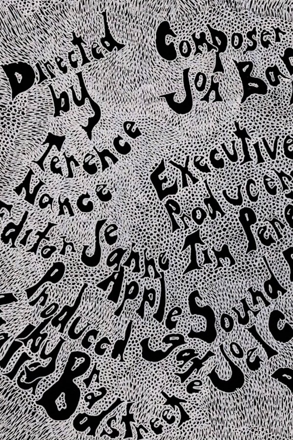 Jimi Could Have Fallen from the Sky