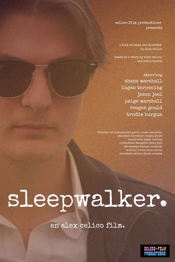 Sleepwalker poster
