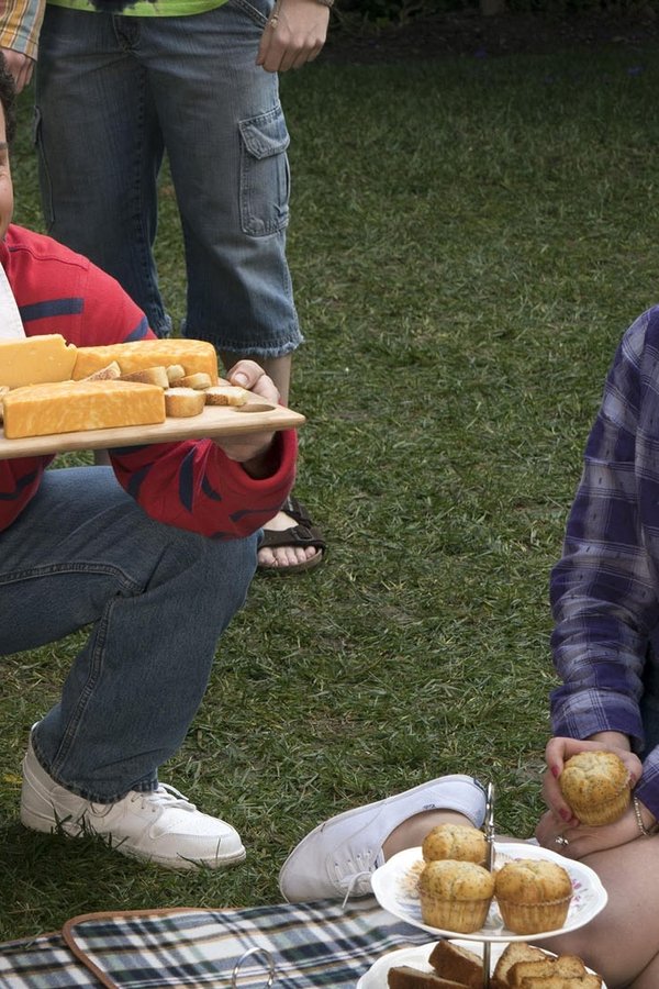 I Goldbergs – S05E17 – Colori di guerra