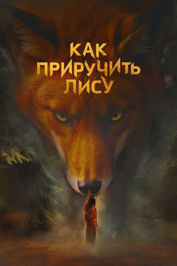 How to Tame a Fox poster