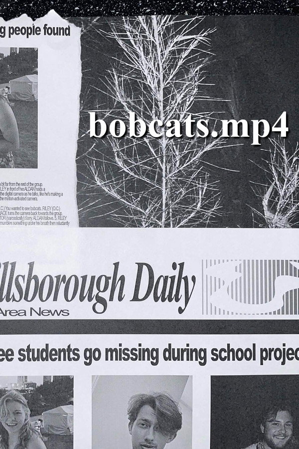 Bobcats