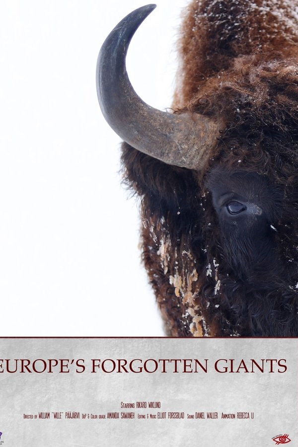 Europe´s Forgotten Giants poster