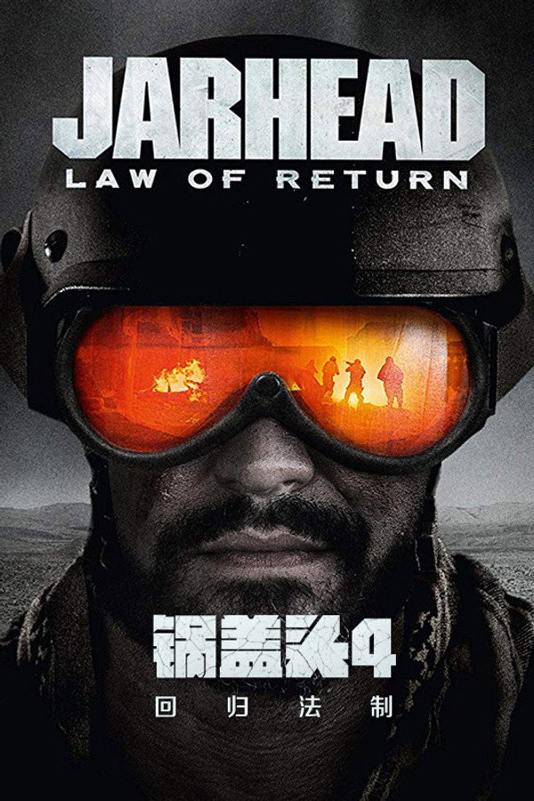 锅盖头4：回归法制