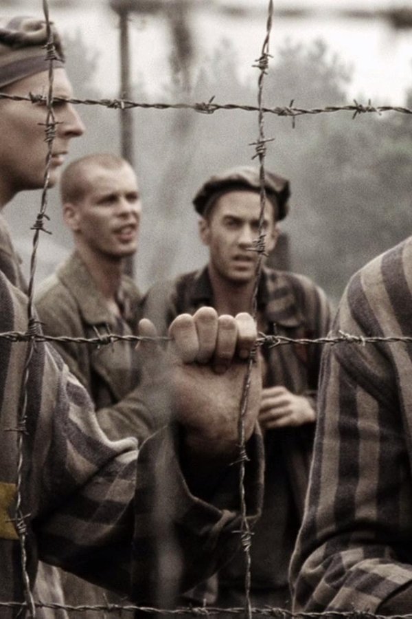 Band of Brothers – Fratelli al fronte – S01E09 – La tragica scoperta