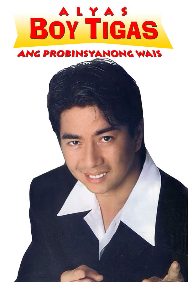 Alyas Boy Tigas: Ang probinsyanong wais
