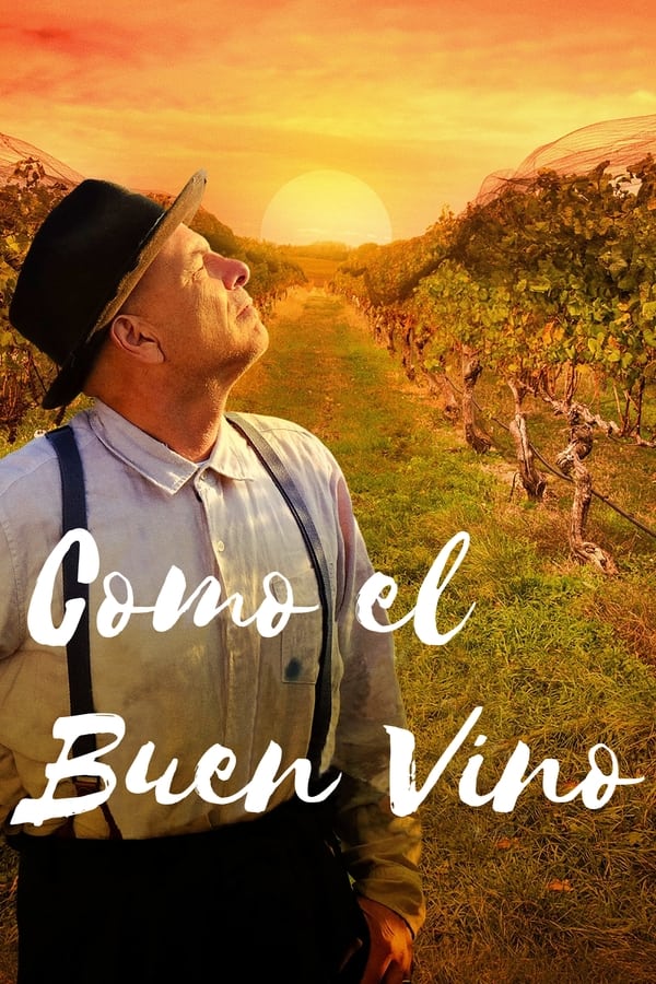 TVplus ES - Como el buen vino (2019)