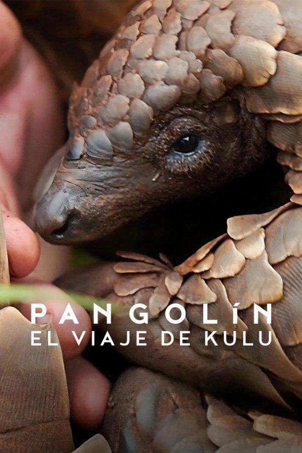 ES - Pangolín: El viaje de Kulu - 2025