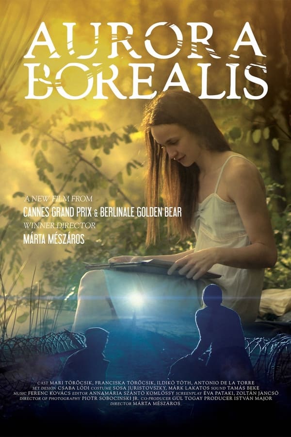 Aurora Borealis: Northern Light