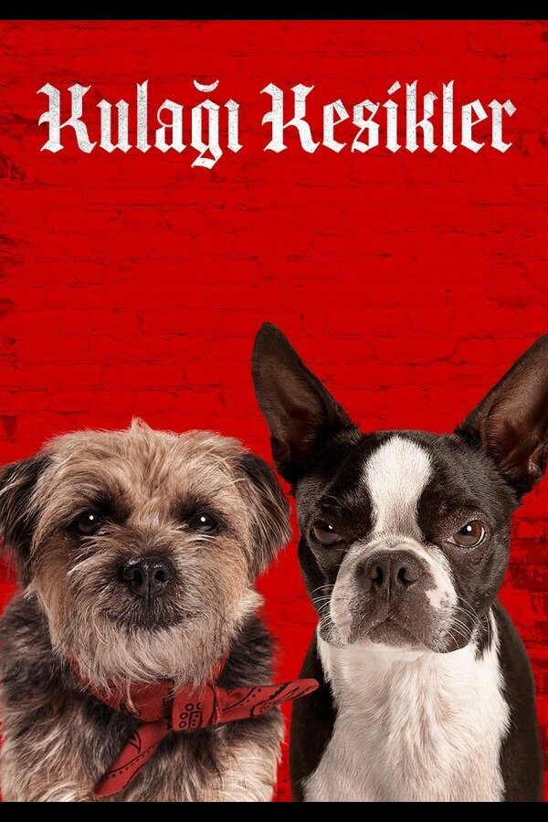 TR - Kulağı Kesikler - 2023