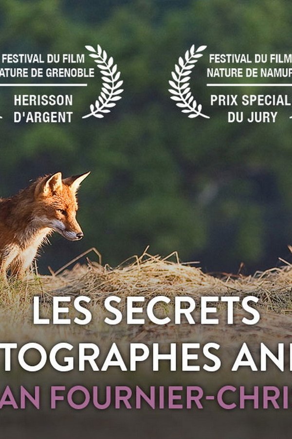 Les secrets des photographes animaliers poster